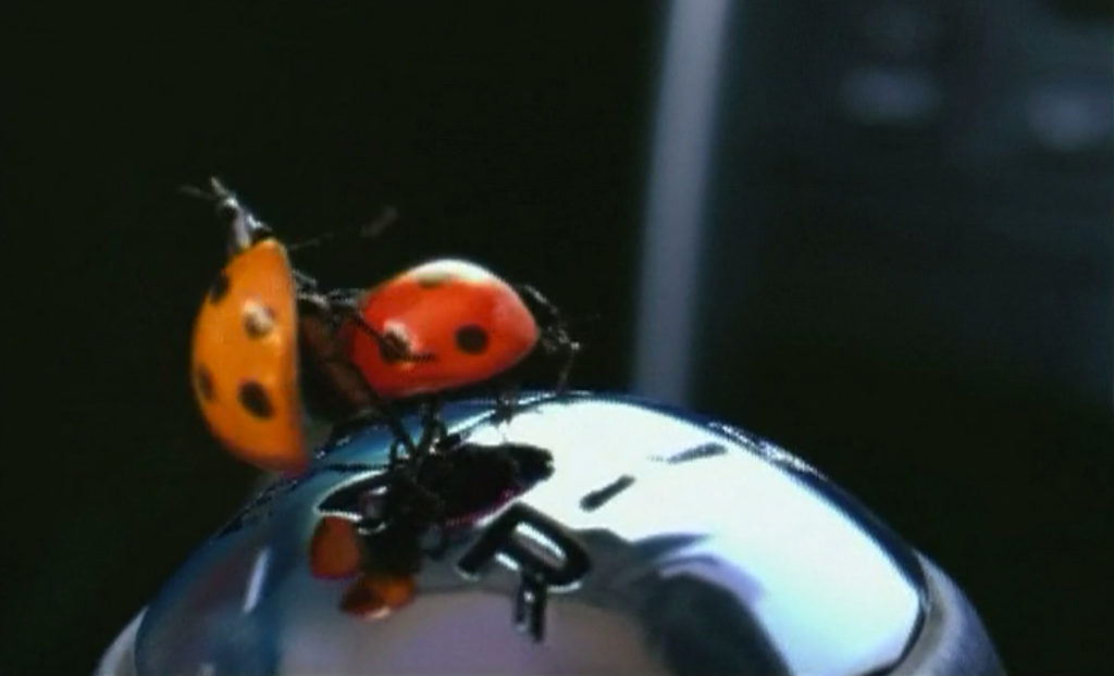 PEUGEOT 207 Ladybird