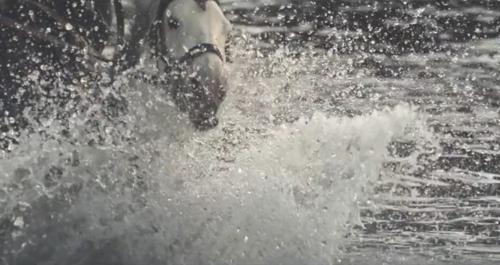 GUERLAIN The legend of Shalimar