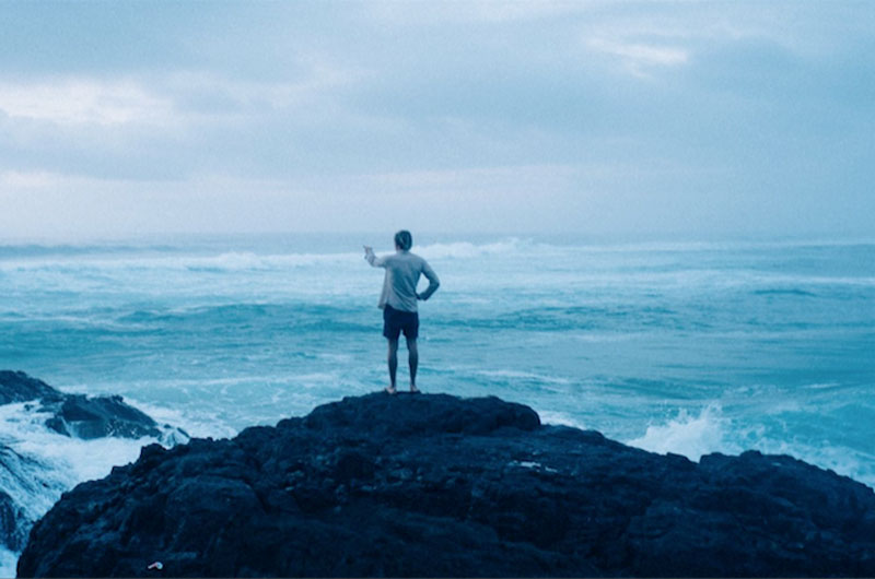 DIOR Tales Of The Wild